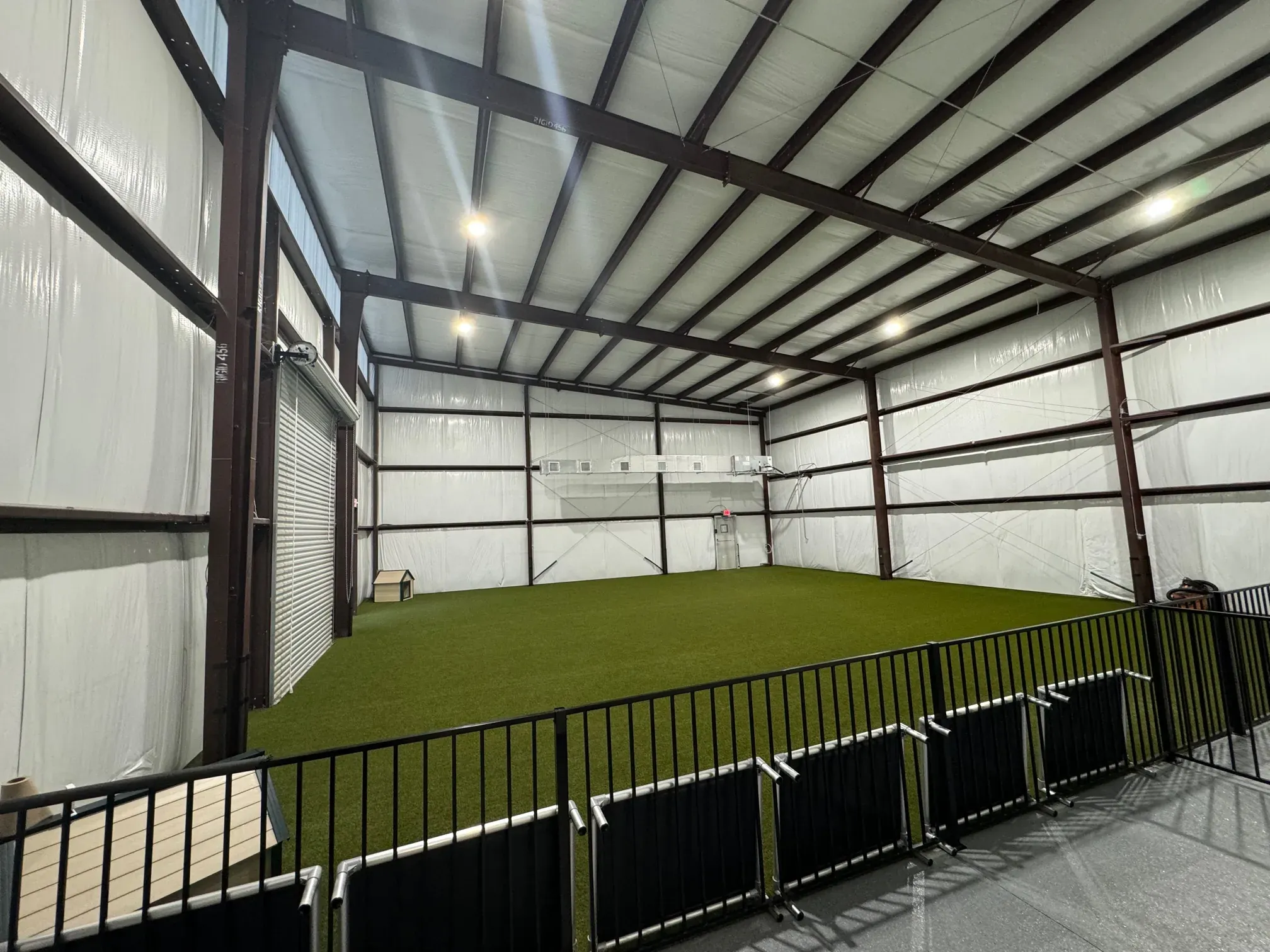 Dogs enjoying the indoor play space at K9 Clubhouse